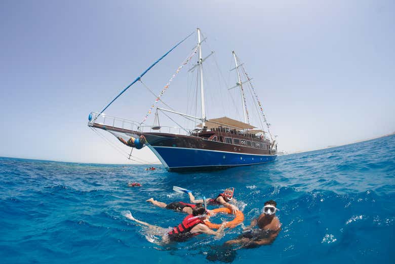 Faites du snorkeling dans la mer Rouge