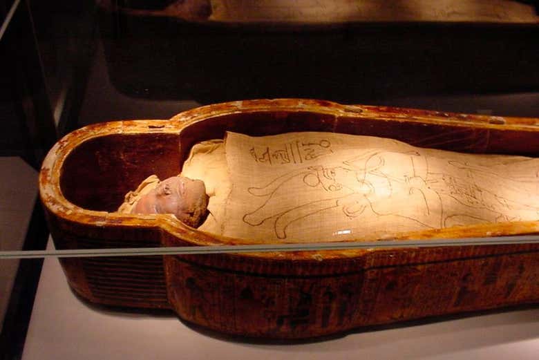 Musée de la Momification