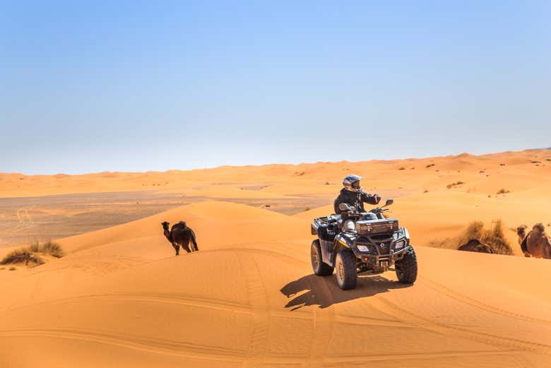 Balade dans le désert en quad