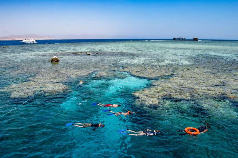 Snorkeling dans l'un des endroits les plus spéciaux d'Égypte